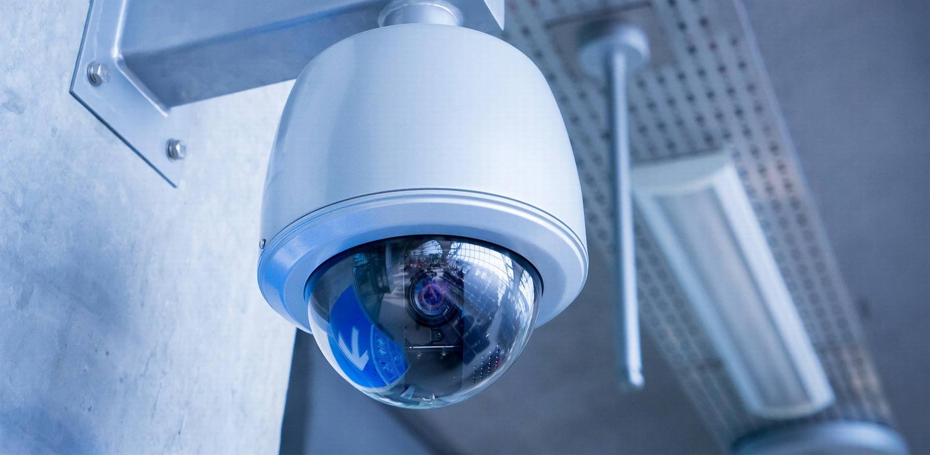 #1 Best Security Camera Company: CAT6 CAT7 CAT8 Network vs Wiring Installer Low Voltage Fiber Optic Jacksonville